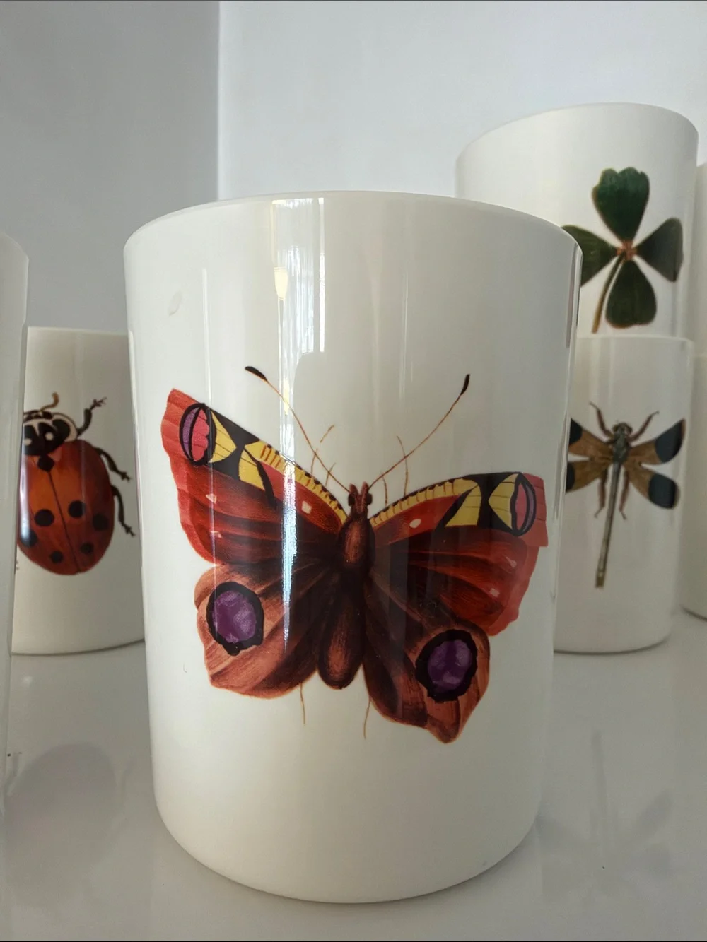 John Derian for Target Nature Motif Tumblers